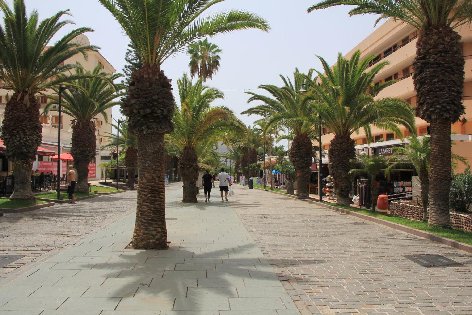 Los Cristianos - Two Bedrooms - Flayla-C Dış mekan fotoğraf