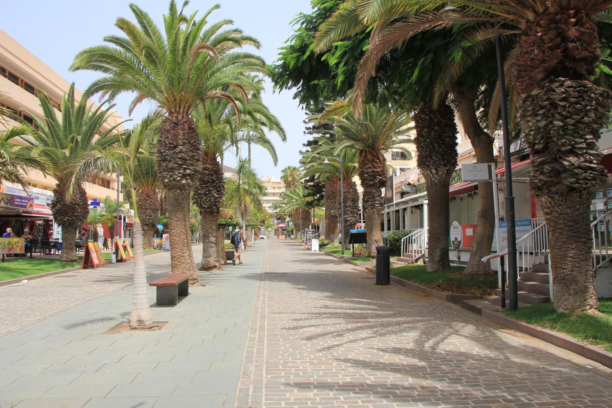 Los Cristianos - Two Bedrooms - Flayla-C Dış mekan fotoğraf